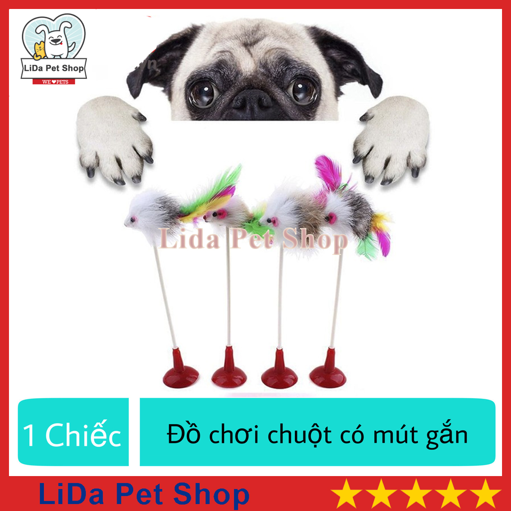 HN- Đồ chơi chuột có mút gắn cho chó mèo vờn - Lida Pet Shop