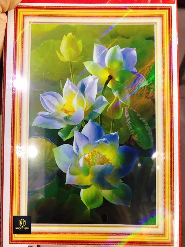 Tranh đính đá Hoa Sen VS125 kích thước 75cm x 50cm