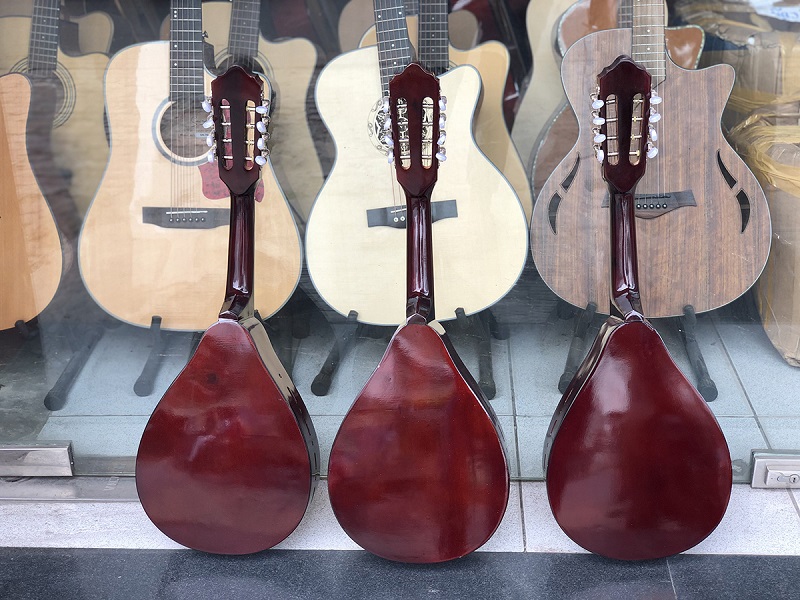 Đàn Mandolin Việt Nam