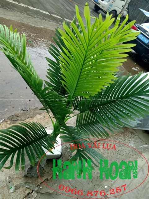 Cây dừa cao 1m trang trí - Cây giả