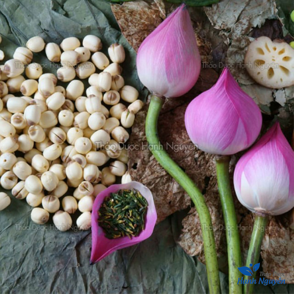 Hạt sen bở 1kg, hạt sen khô nấu chè, cháo, hầm canh bổ dưỡng, tốt cho cả người lớn và trẻ nhỏ