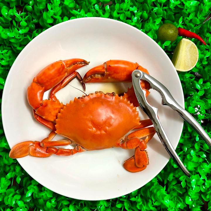 Dụng cụ kẹp càng cua, ghẹ