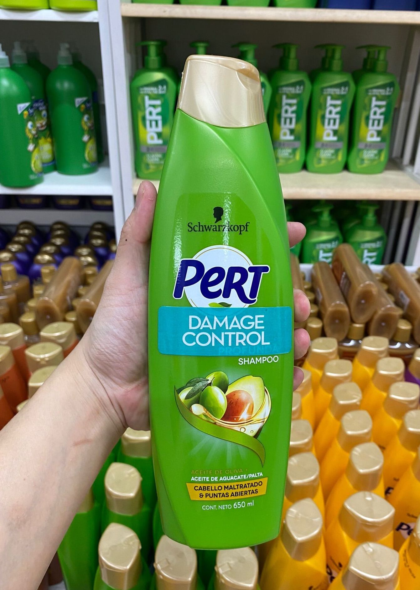 Dầu gội Pert Schwarzkopf 650ml