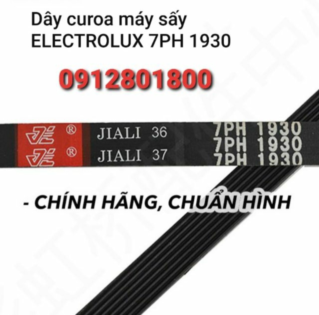 Dây curoa ( dây đai ) máy sấy Electrolux EDV 605/ 705/ 6051/ 7051/ 6552/ 7552