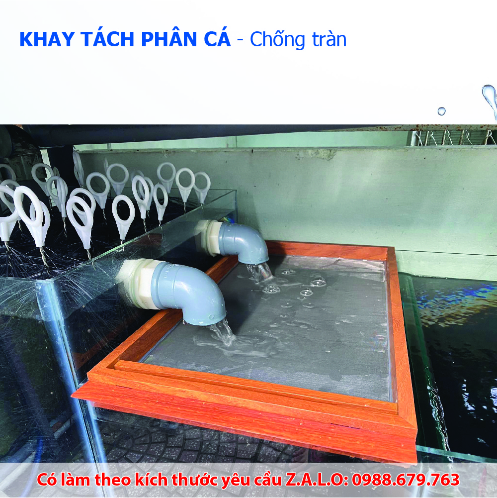 (20cm x 15cm) - Khay tách phân cá - Lưới lọc inox 304