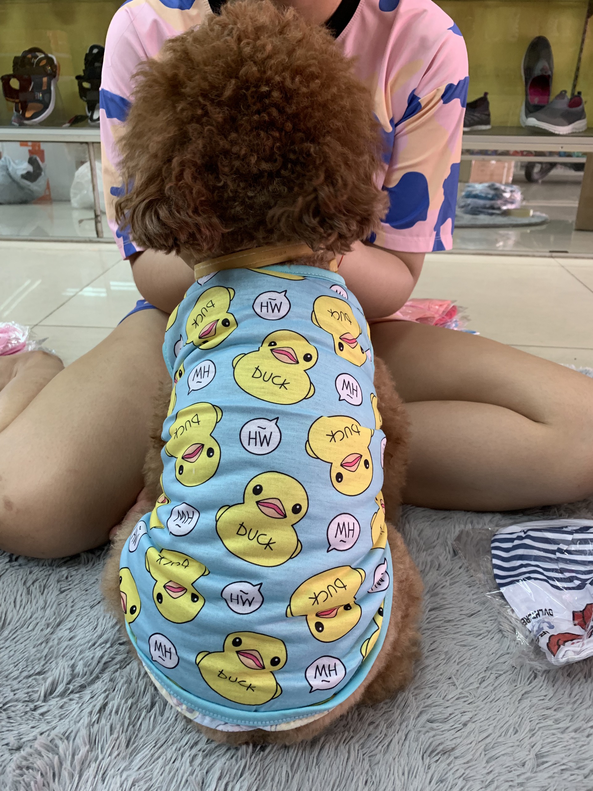 Áo thun hình vịt dành cho thú cưng chó / mèo