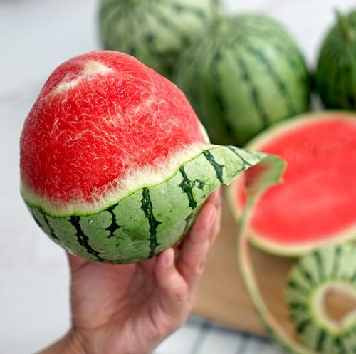 Hạt giống dưa hấu táo đỏ