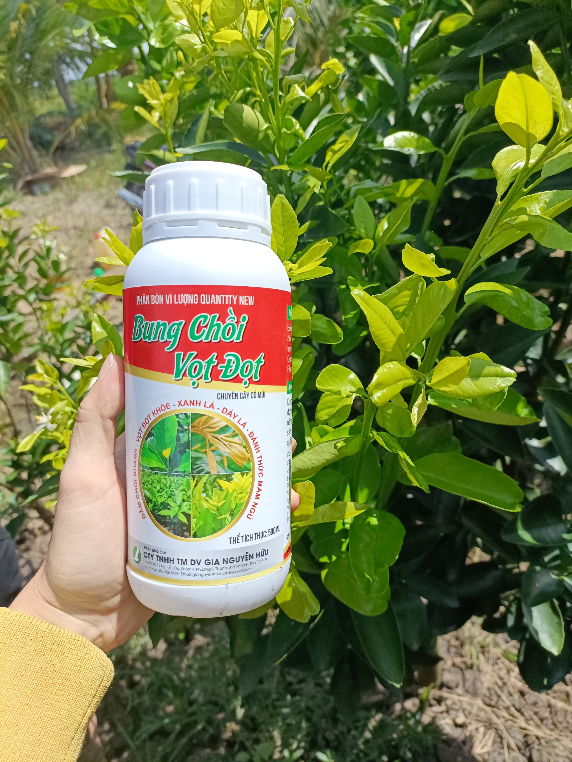 Bung chồi vọt đọt - chuyên cây có múi 500ML