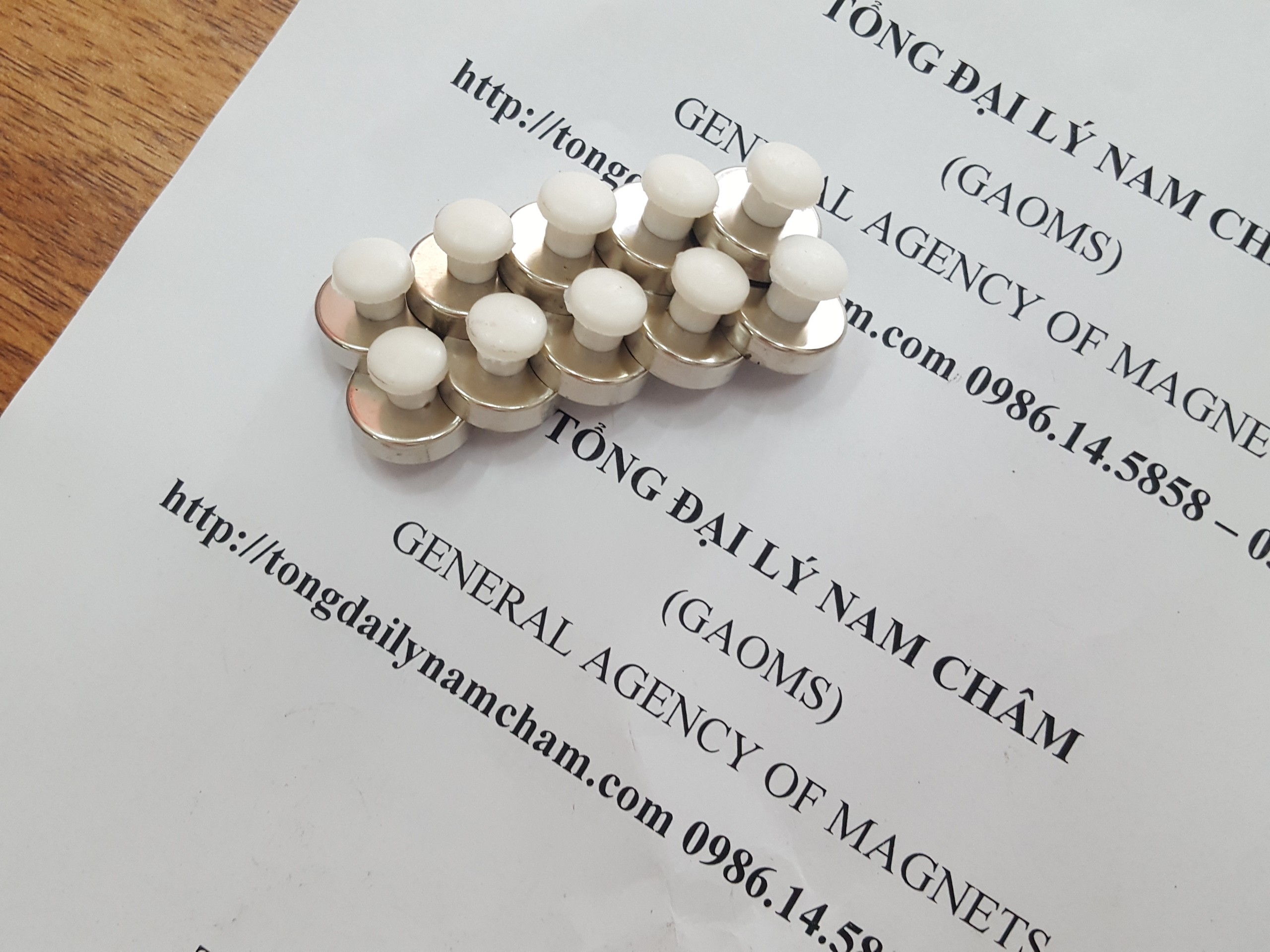 Nam châm đính bảng D16mm, có núm trắng- 20 cái