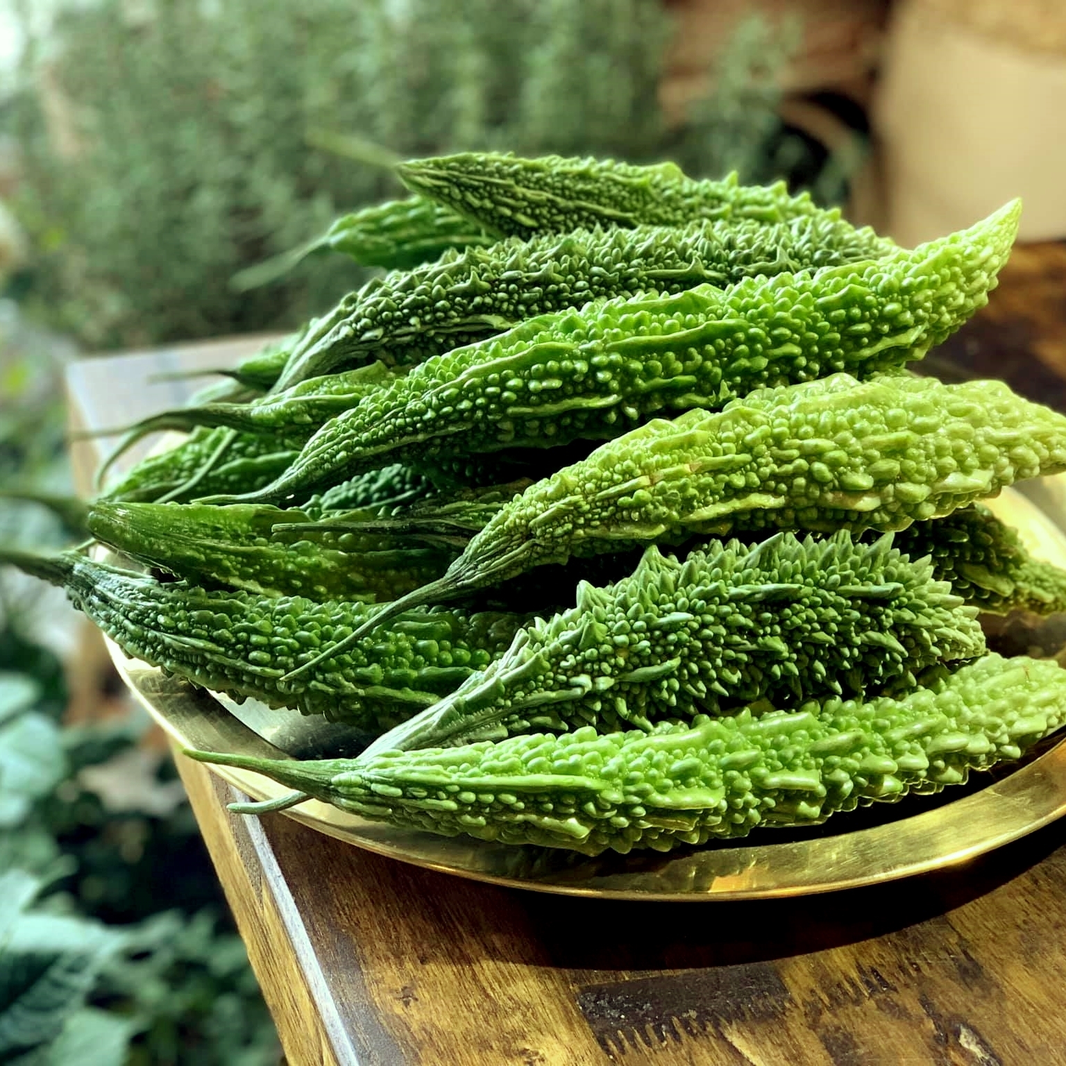 Hạt giống mướp đắng (khổ qua) rừng