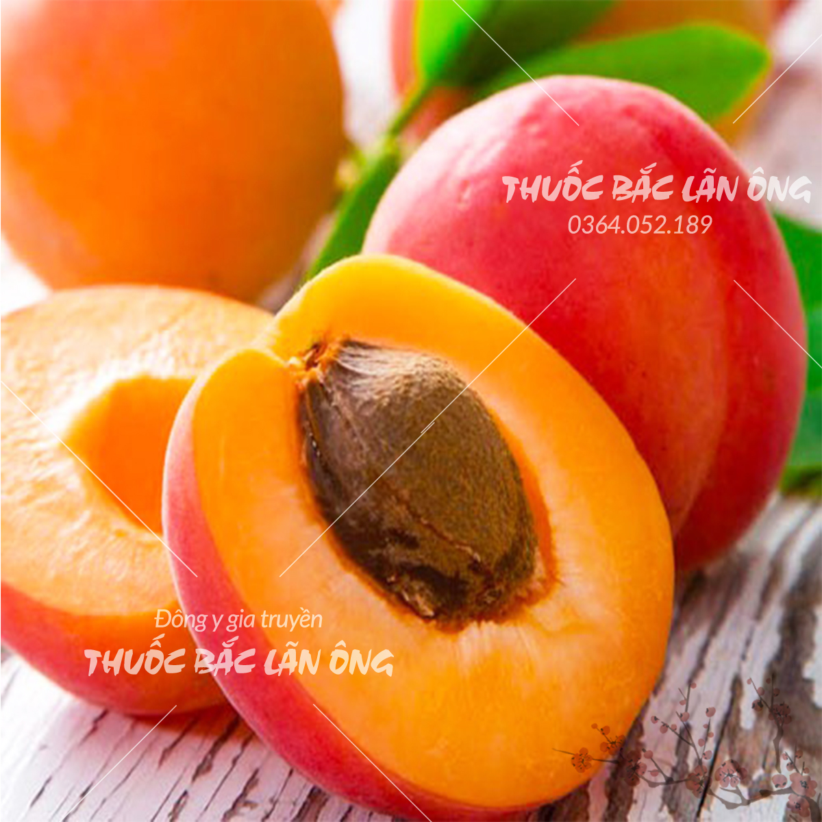 Ô mai mơ chua ngọt đặc sản Hà Nội (Xí muội chua ngọt, đồ ăn vặt)