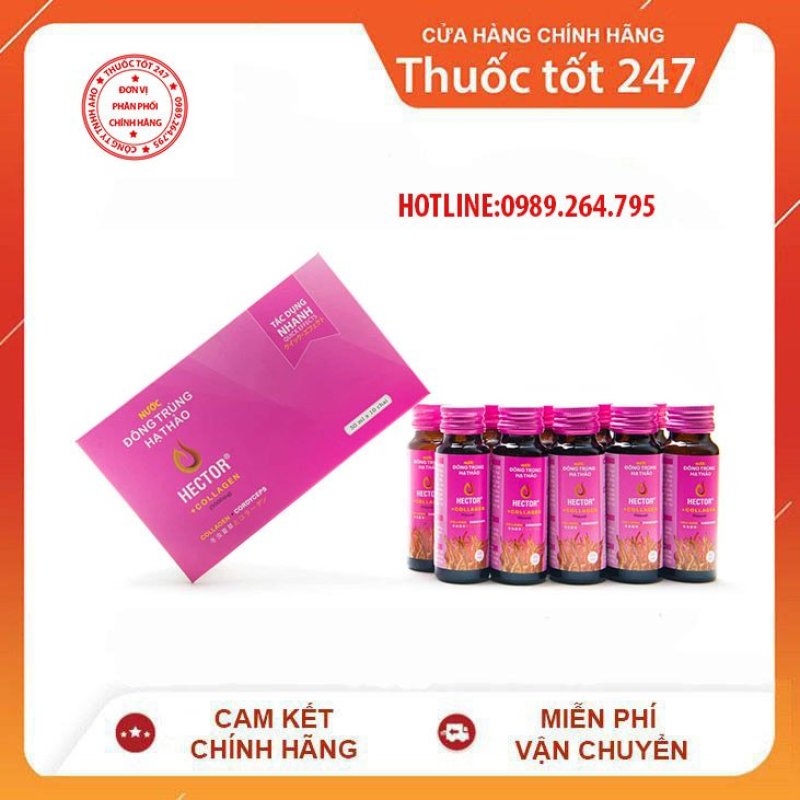 NƯỚC UỐNG ĐÔNG TRÙNG HẠ THẢO HECTOR COLLAGEN ( COMBO 1 HỘP 10 CHAI ) giá rẻ