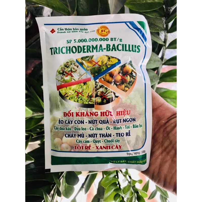 NẤM ĐỐI KHÁNG TRICHODERMA – BACILLUS.SP - gói: 100g