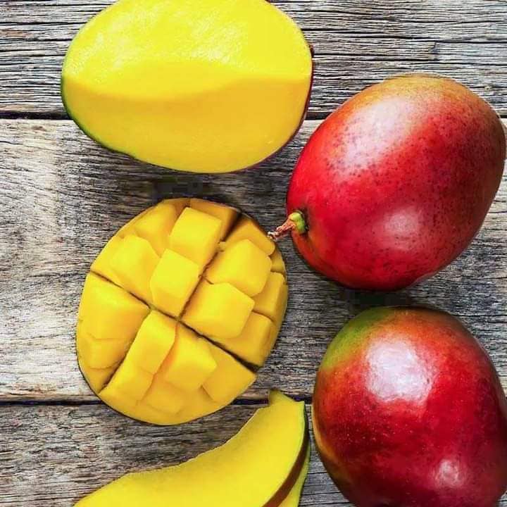 Giống cây xoài mặt trời Nhật Bản