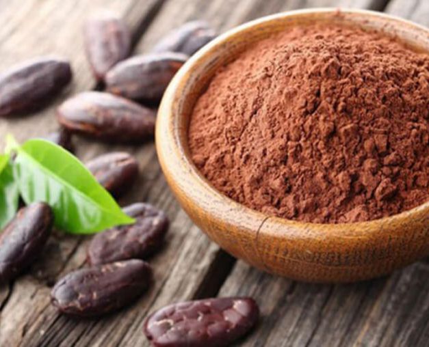 BỘT CACAO NGUYÊN CHẤT 50G/100G