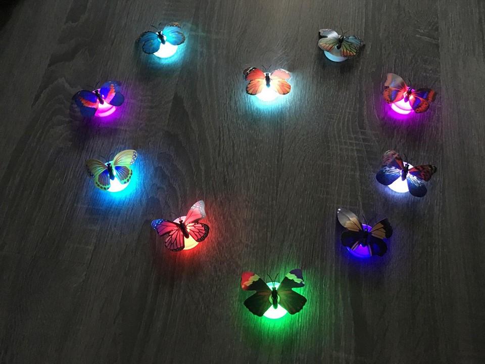 [HCM]COMBO 5 BƯỚM ĐÈN 3D DÁN TƯỜNG