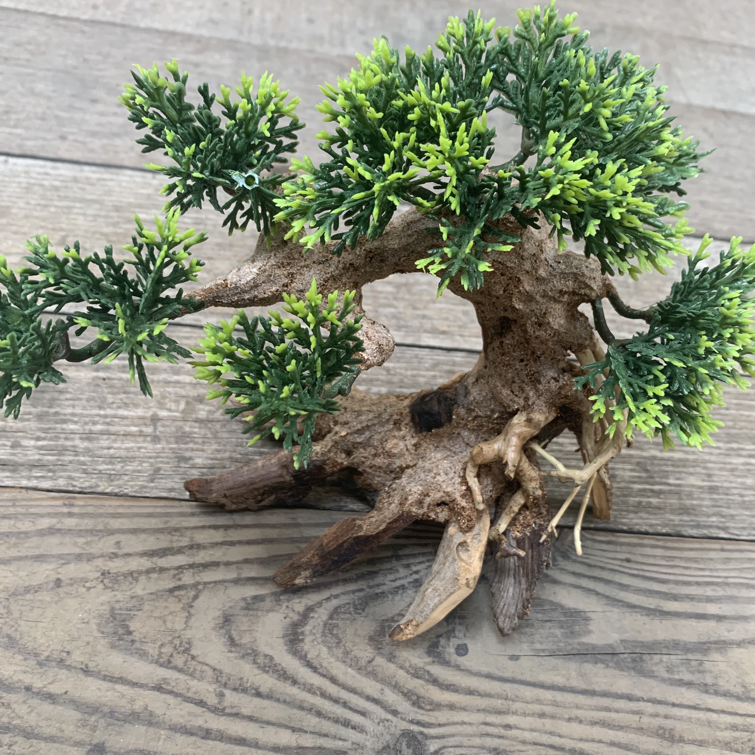 Cây Bonsai Cao Cấp Trang Trí Hồ Cá Thuỷ Sinh .