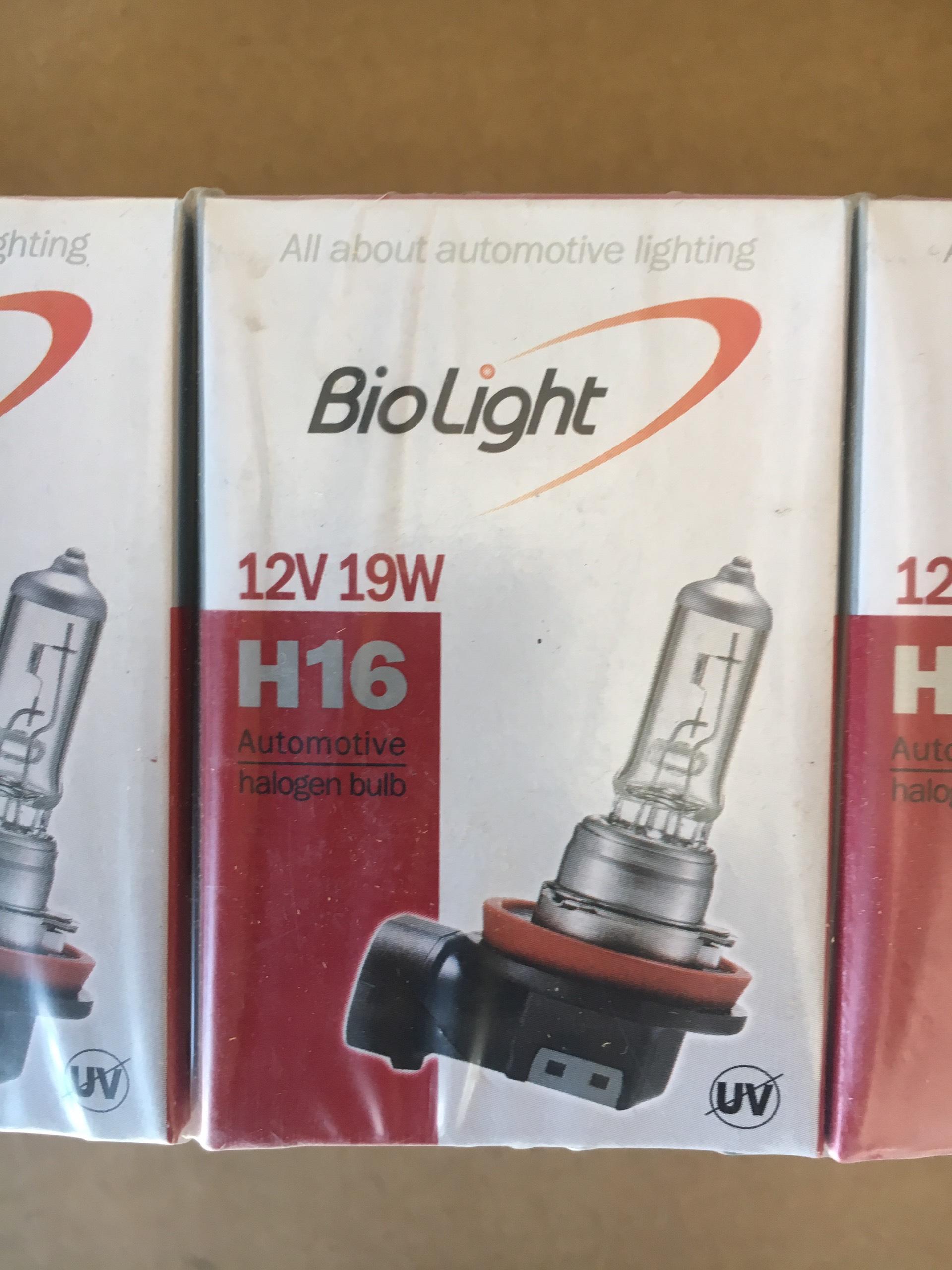 12v 19w h16 bóng đèn xe hơi biolight hàn quốc