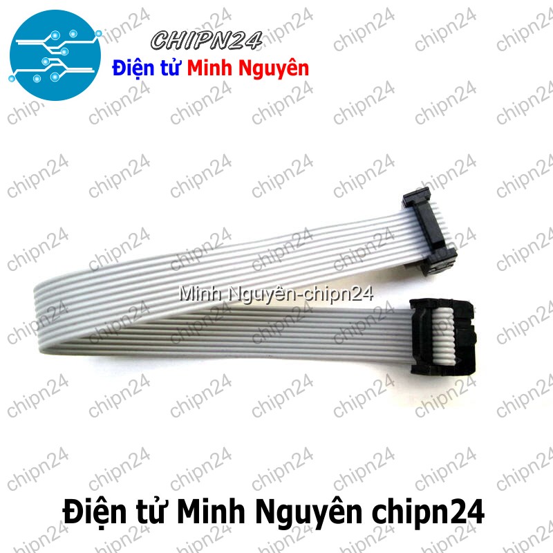[1 sợi] Cáp ISP 10 pin 20CM - Cáp IDE 10P 2.54MM Dài 20CM - HH000200