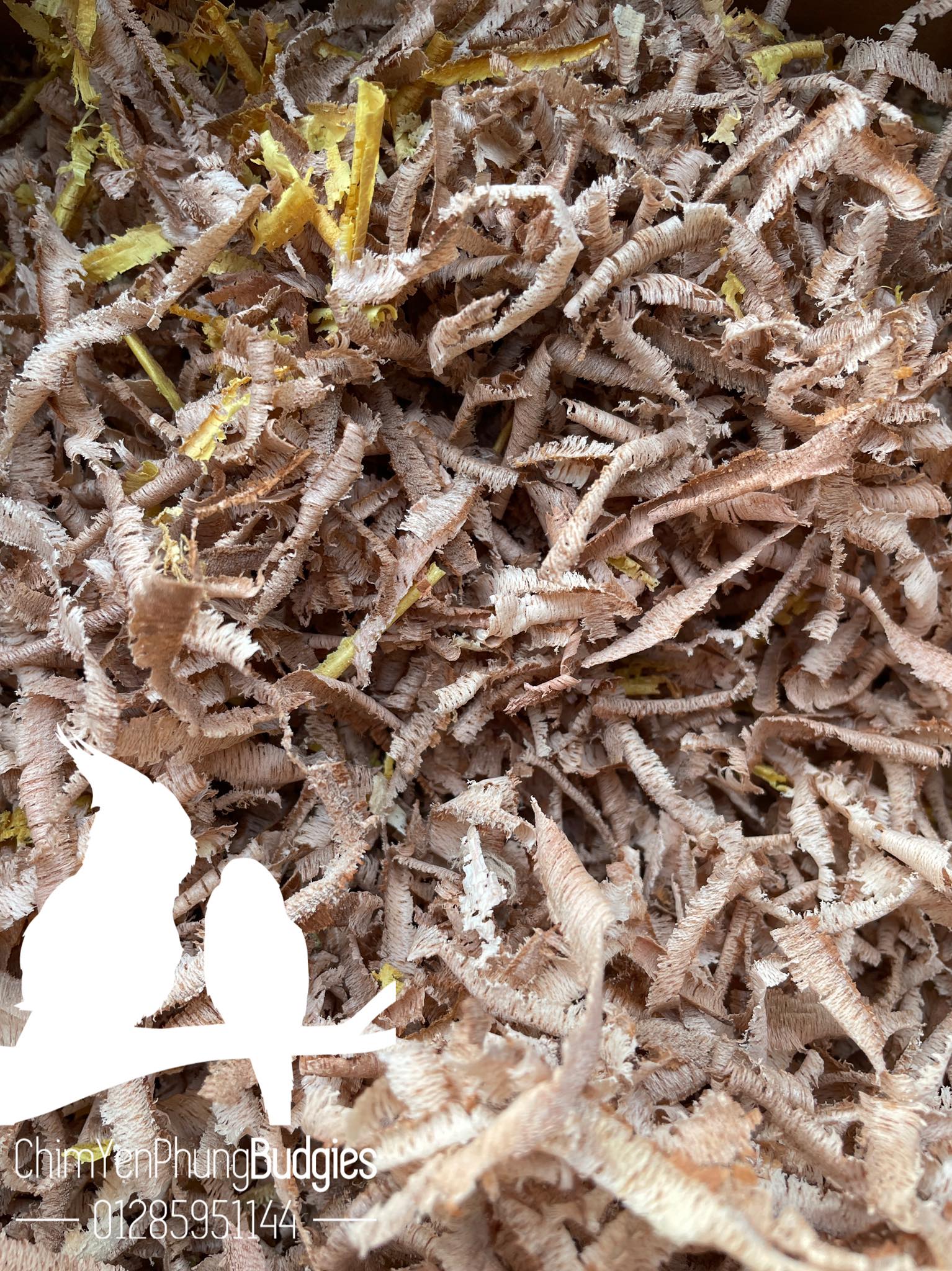1KG DĂM BÀO THÔ LÓT TỔ CHIM (xơ bào)