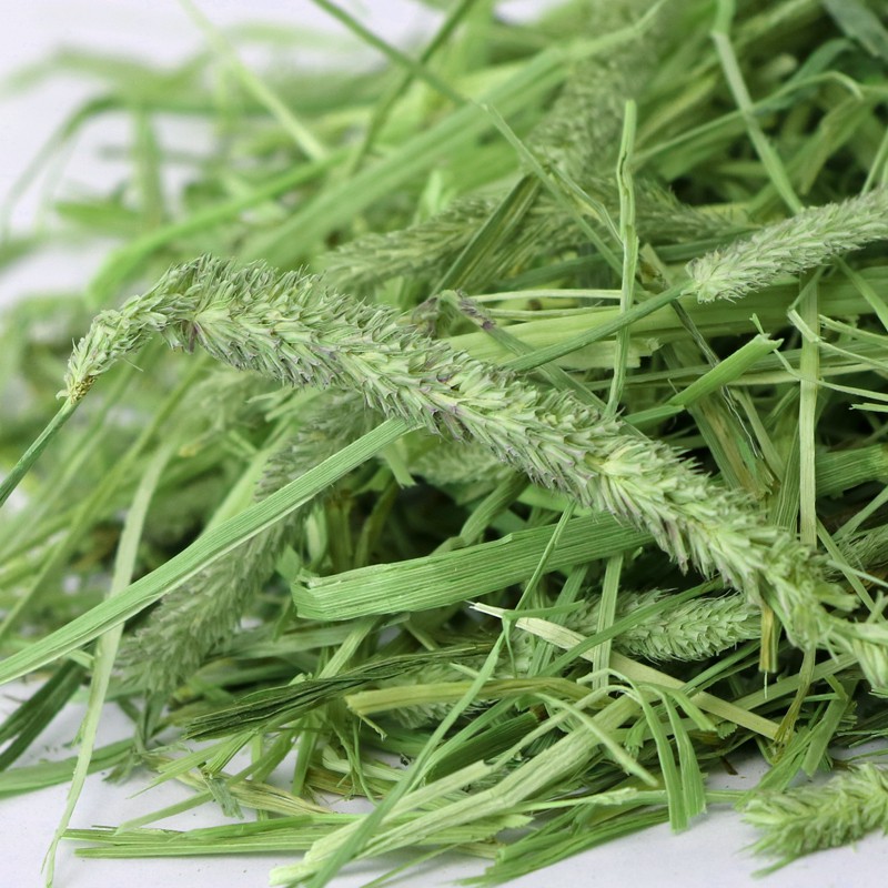 Bag 100 gr grass Timothy for rabbit, beetle peek, Guinea…