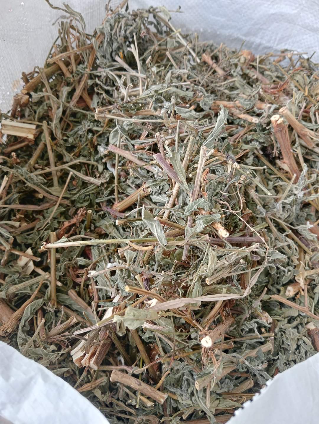 (Dược liệu khô) Cây Rau Mương phơi khô 500g