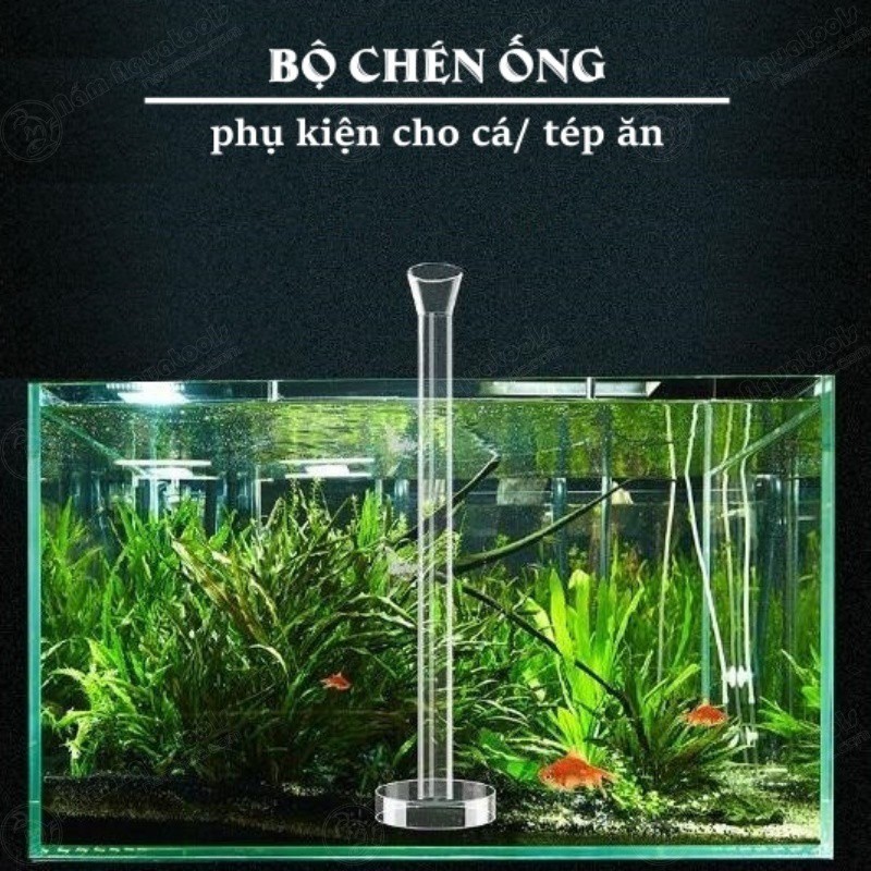 Bộ chén ống tép thuỷ tinh | phụ kiện cho cá - tép ăn