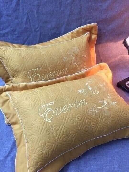 BỘ 2 VỎ GỐI TRẦN BÔNG,THÊU HOA SIÊU ĐẸP KT 40X65