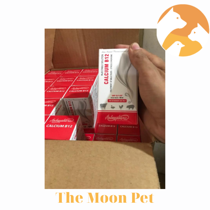 Calcium B12 AC [100 ml] Gà đá phòng các chứng thiếu calcium, thiếu máu