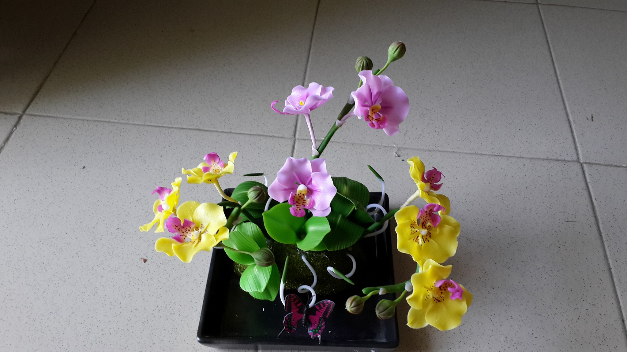 hoa lan hồ điệp đất sét size trung