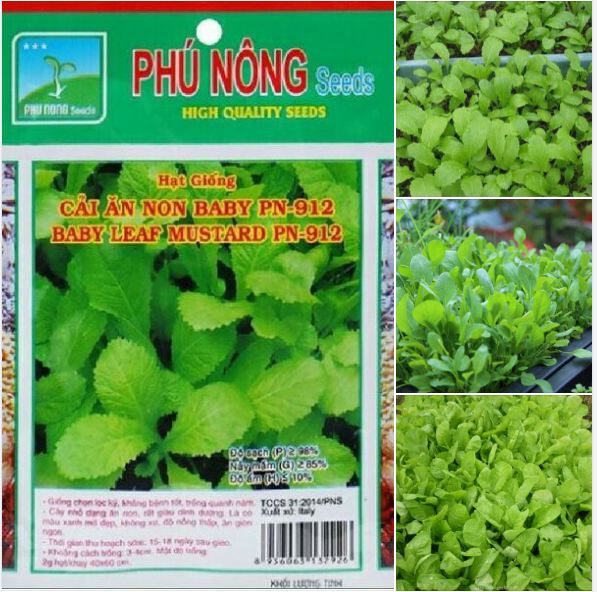 "Gói 20Gram "Hạt giống rau cải bẹ xanh ăn non baby