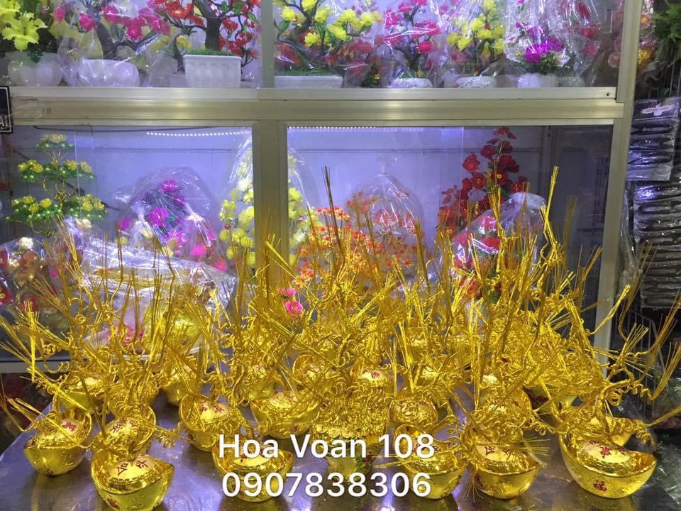 Gốc cây kim tiền( thỏi vàng +gốc)