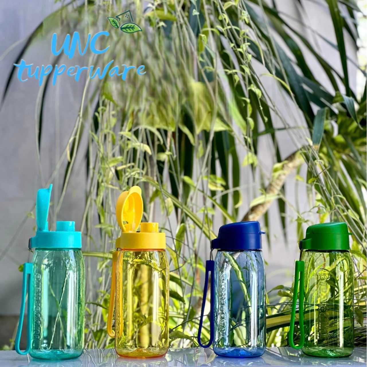 Bình nước Tupperware Lohas Flask 550ml