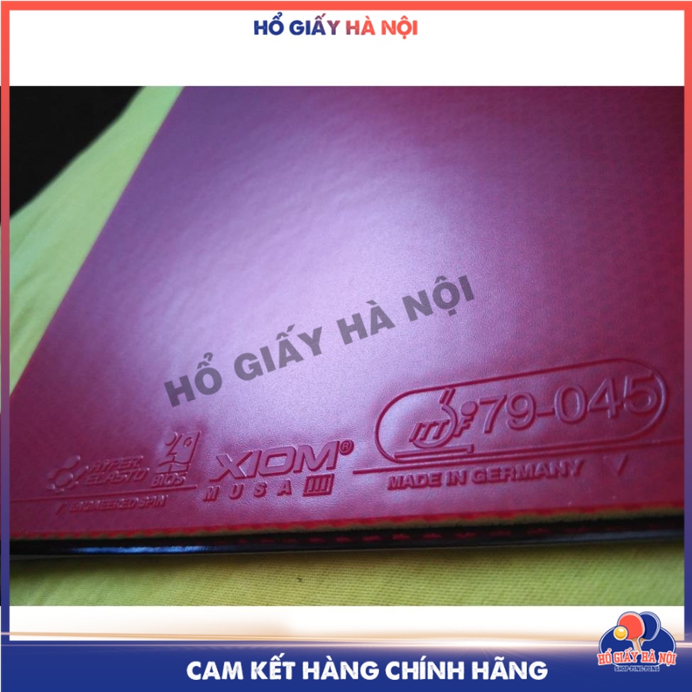 Mặt vợt bóng bàn xiom musa iii công nghệ hyper elasto made in germany 79-045