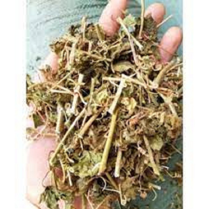 500g Cây dây lưới  kho an vat