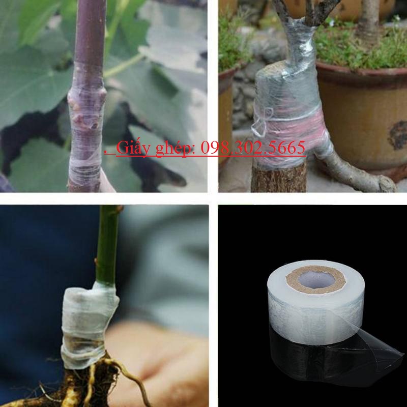 Giấy ghép cây nilong tự hủy - khổ 3cm