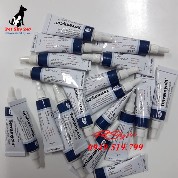 Thuốc Terramycin Trị Nhễm Trùng Mắt Cho Chó Mèo 3,5g