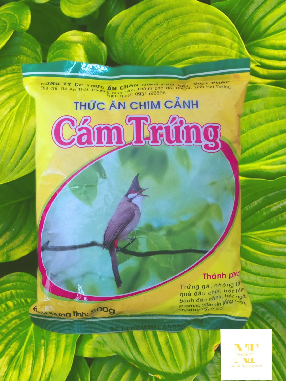 Cám trứng cho chim cảnh - thức ăn dành cho các loài chim cảnh - mồi câu cá