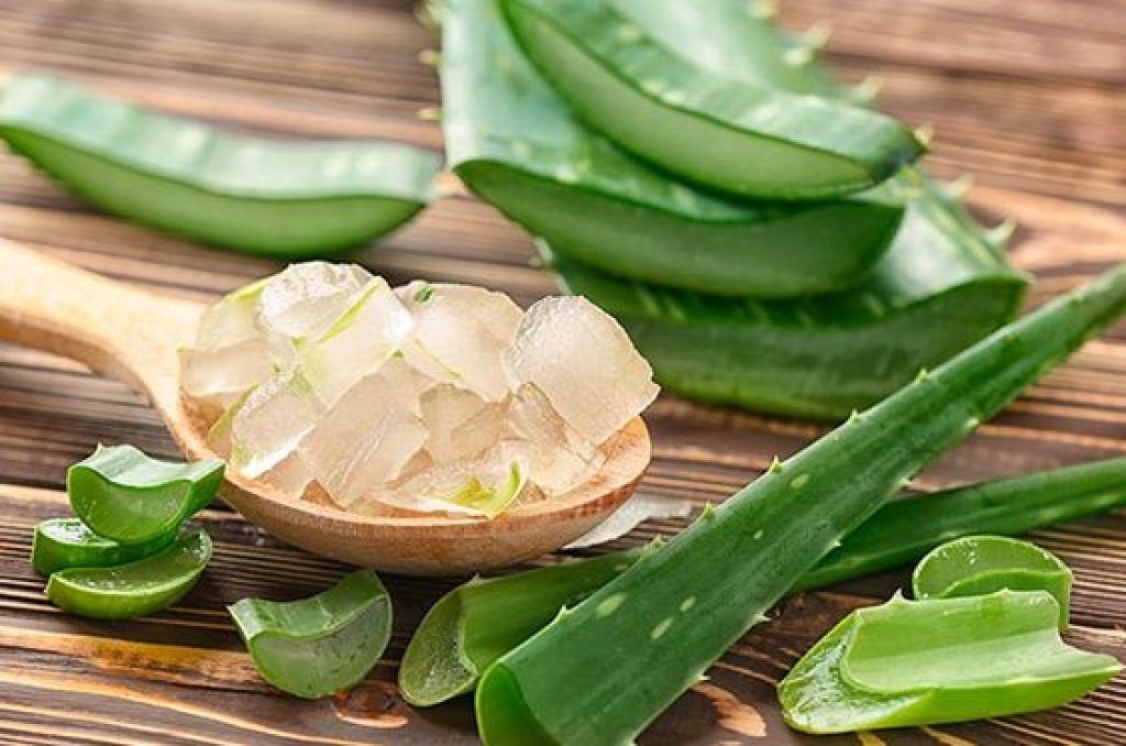 Thạch nha đam Peso 1kg