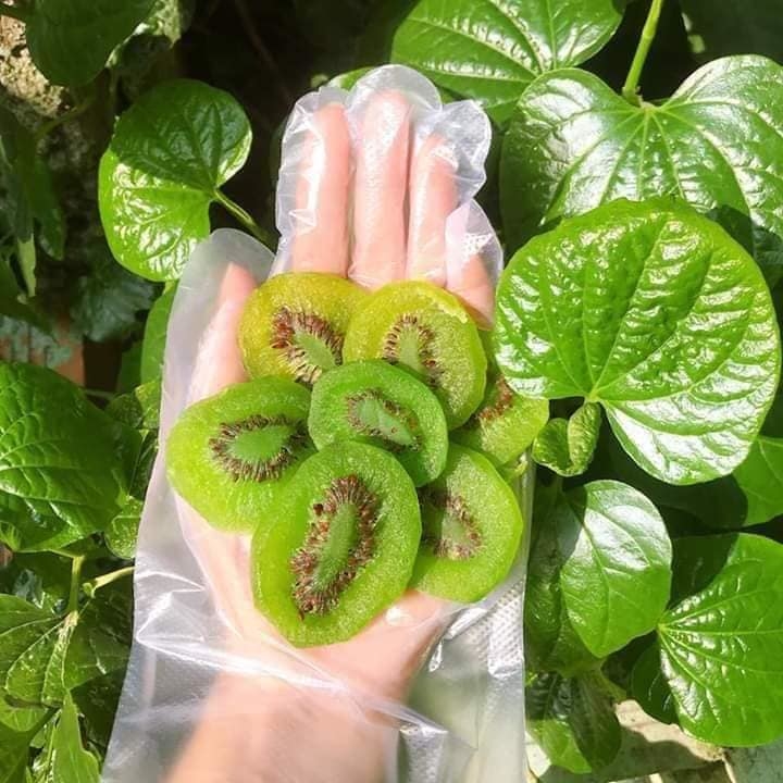 500G KIWI SẤY DẺO_ đặc sản đà lạt