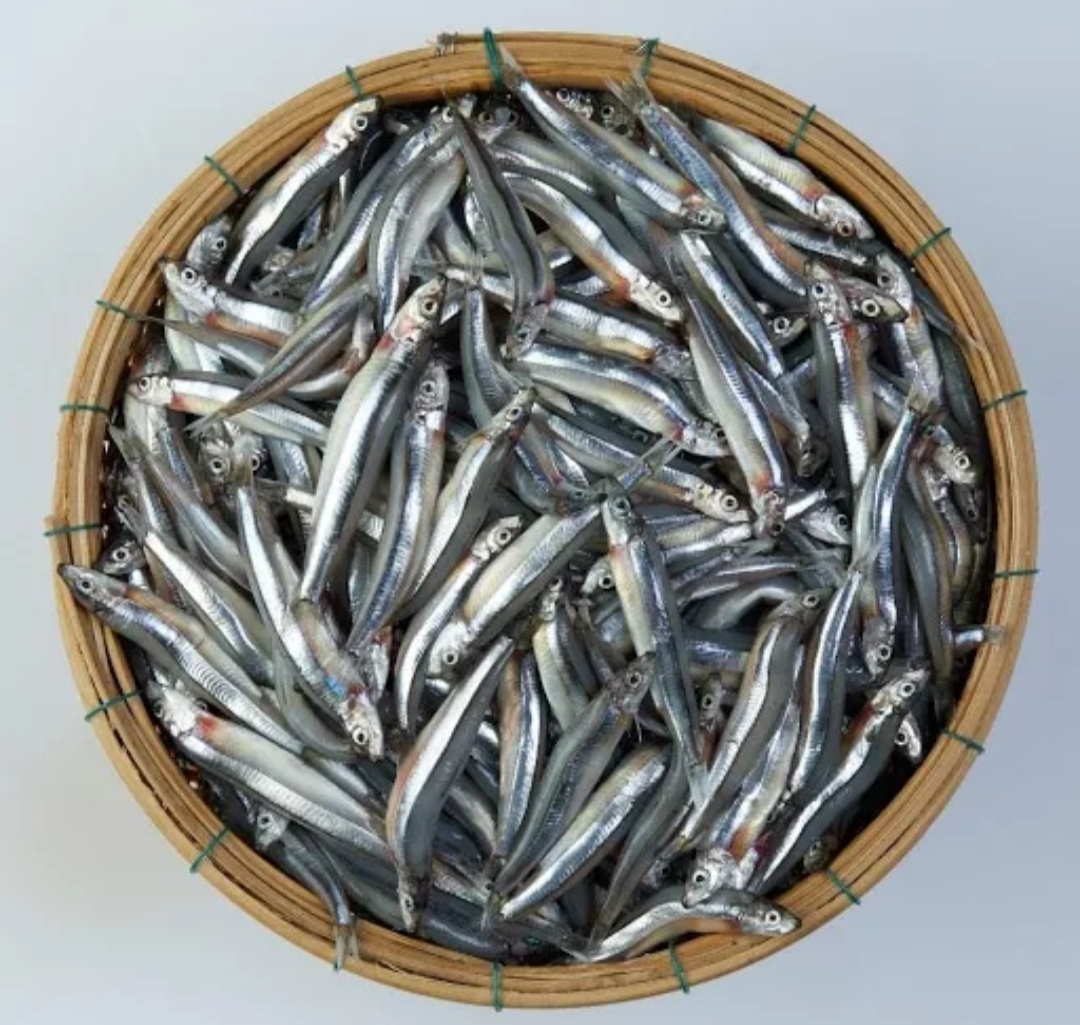 MẮM CÁ CƠM ĐỀ GI - ĐẶC SẢN BÌNH ĐỊNH 350Gr