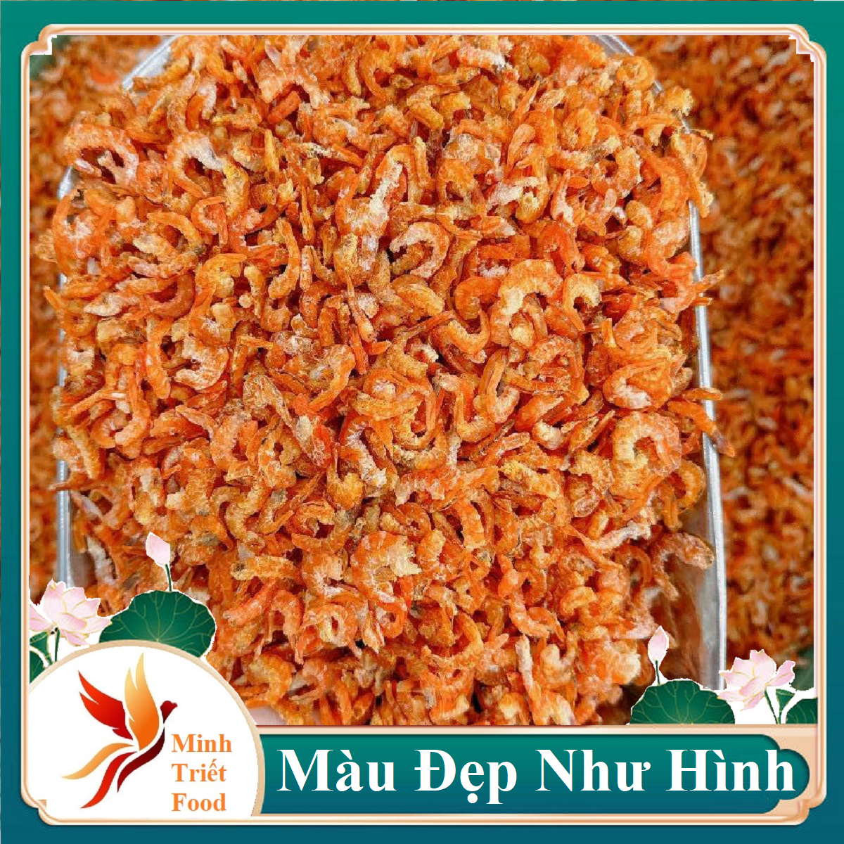 Tôm Đất Thượng Hạng (Tôm đất)- Đặc Sản Minh Triết