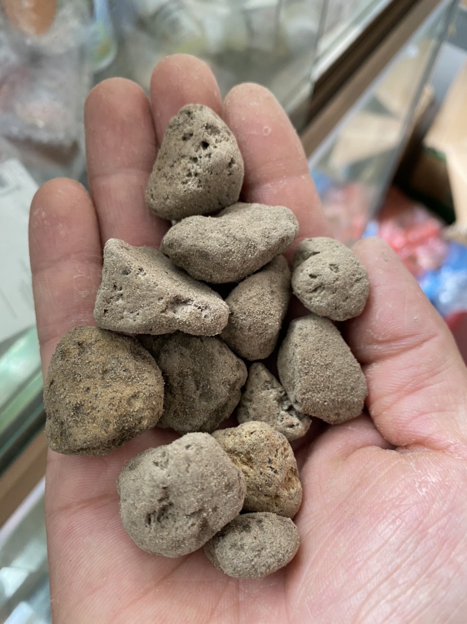 1kg Đá bọt - Đá giữ ẩm size 1-2