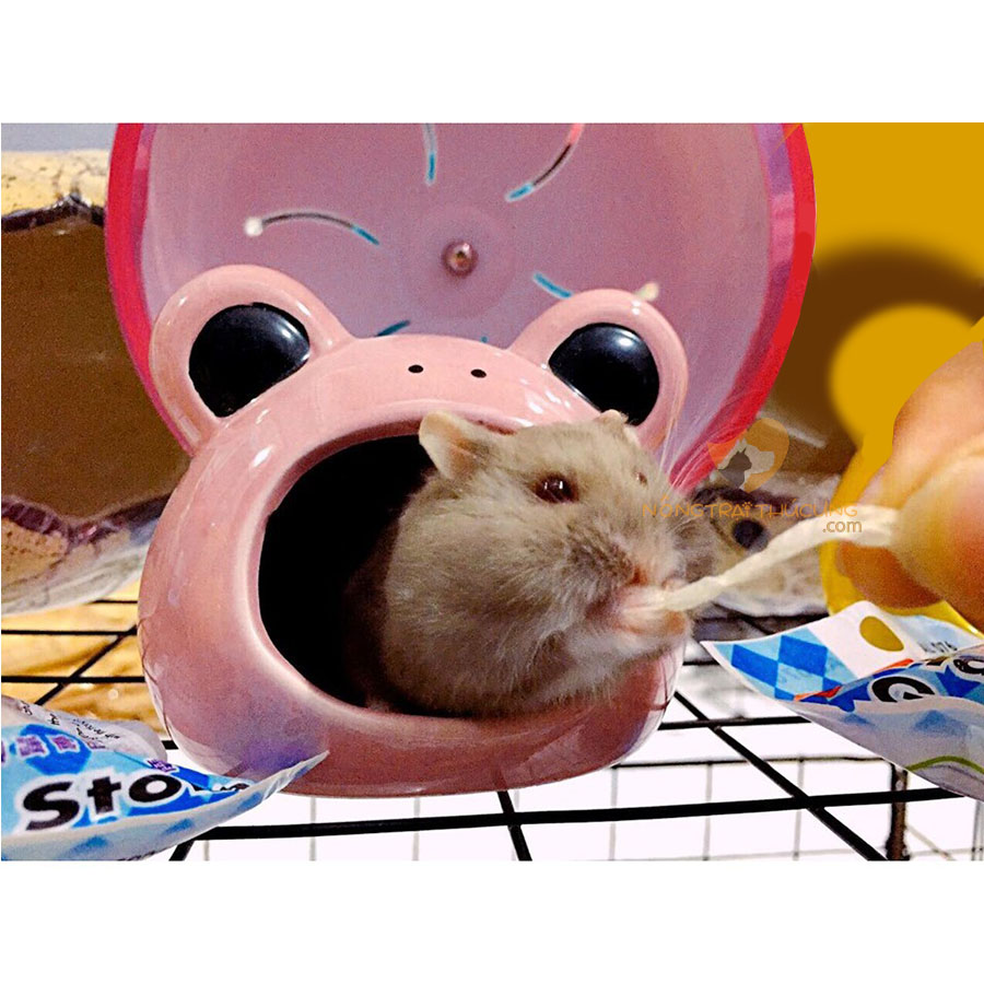 Snack Khô Cá Sợi Cho Hamster 25g - [Nông Trại Thú Cưng]
