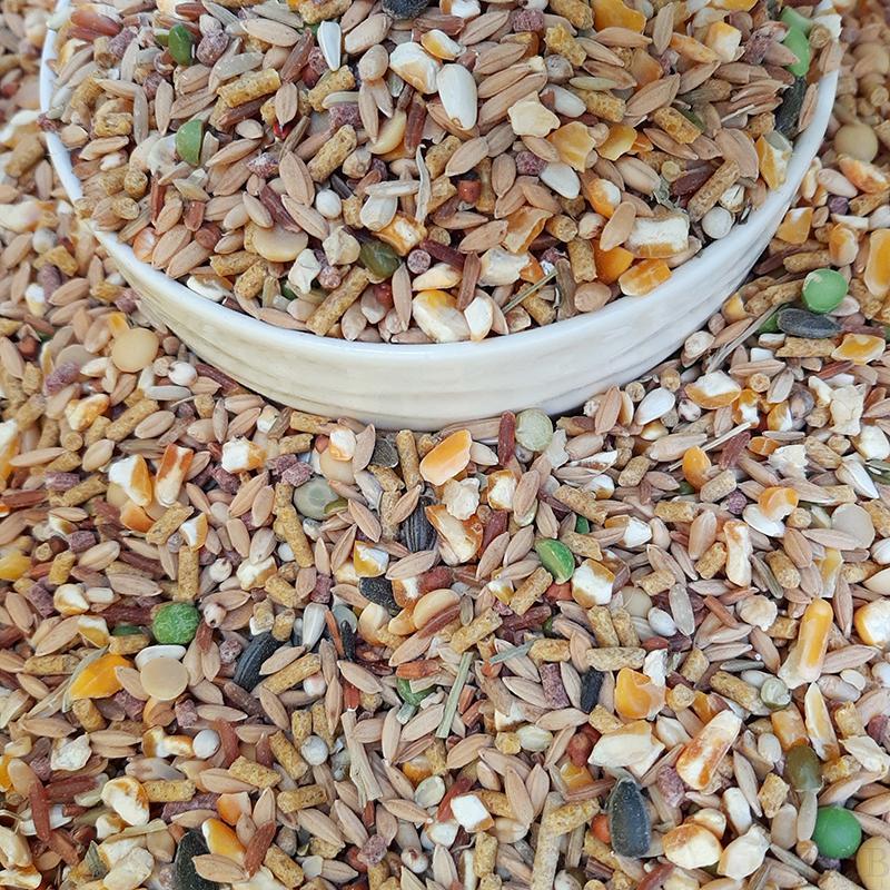 2kg ngũ cốc dinh dưỡng cho gia cầm trên 14 loại hạt và cám viên - rab.store