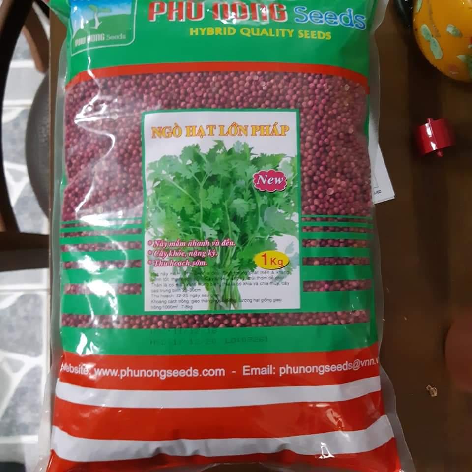 Hat giong Ngo Ri 100g