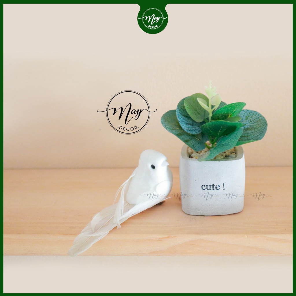 Cây mini chậu Xi măng 45cm
