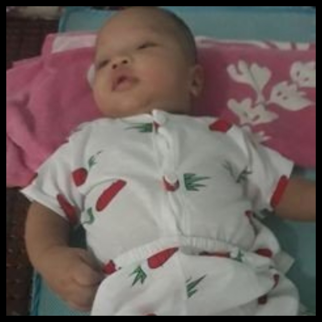 Set 5 bộ cotton cộc khuy chuối 3 đên 14kg