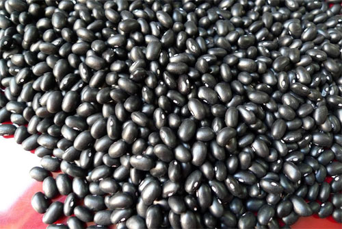 ĐỖ ĐEN XANH LÒNG (ĐẬU ĐEN) - Đỗ đen quê - 1kg
