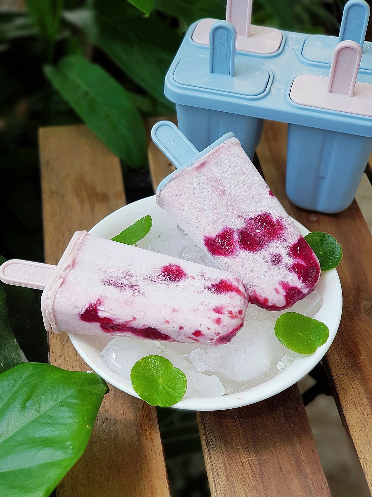 Khuôn làm kem Inochi Kari (giao màu ngẫu nhiên) [HCM-Giao hoả tốc 2h]